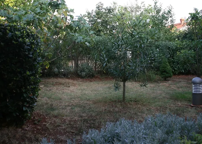 With A Parking Space Novigrad - 7020 Διαμέρισμα Novigrad Istria