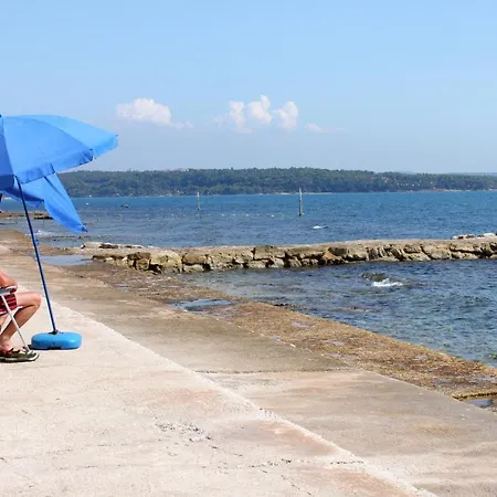 With A Parking Space Novigrad - 7020 Apartman