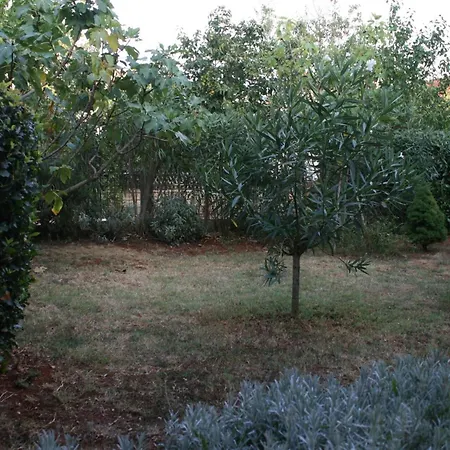 With A Parking Space Novigrad - 7020 Apartamento Novigrad Istria